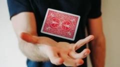 Card Magic – The Complete Course for Beginners by Max H