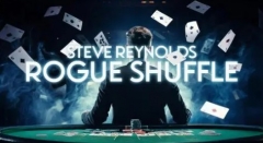 Steve Reynolds - Rogue Shuffle