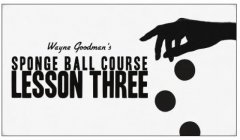 Wayne Goodman - Sponge Ball Course Lesson 3