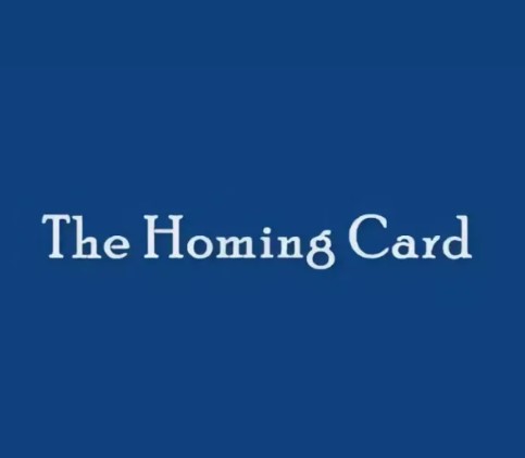 Homing Card by Steven Youell