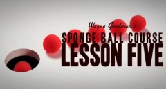 Wayne Goodman - Sponge Ball Course Lesson 5