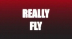 Really Fly by Craig Petty