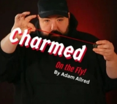 Charmed on the Fly by Adam Allred