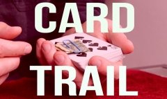 CARD TRAIL by Cameron Francis （2025）