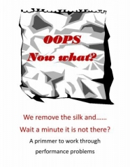 Oops. Now What? by Brian T. Lees