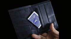 Mini Bombshell Wallet by CAHYO