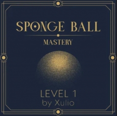 Sponge Ball Mastery Level 1 by Xulio Merino