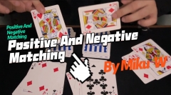 Positive And Negative Matching By Miku W