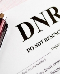 DNR by Matthew Benjamin