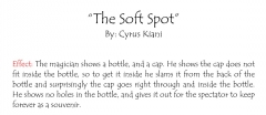 The soft spot by cyrus kiani