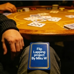 Flip Lapping Project By Miku W