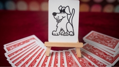 Magical Visions by Matthew Wright