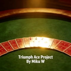 Triumph Ace Project By Miku W