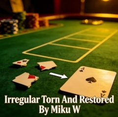 Irregular Torn And Restored By Miku W