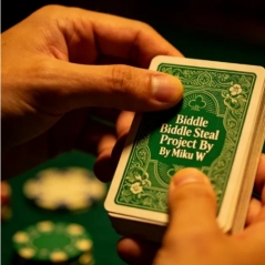 Biddle Steal Project By Miku W