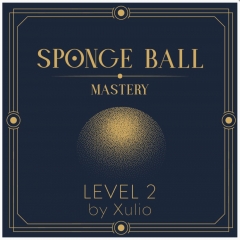 Sponge Ball Mastery Level 2 by Xulio Merino