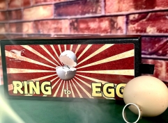 Ring To Egg by ILLUWIZARD PRESENTS