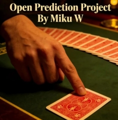 Open Prediction Project By Miku W