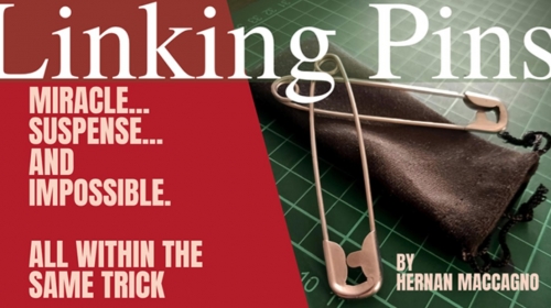 Linking Pins by Hernan Maccagno