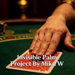 Invisible Palm Project By Miku W