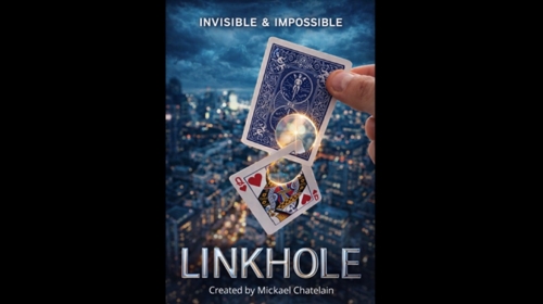 LINKHOLE by Mickael Chatelain