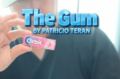 The Gum by Patricio Teran