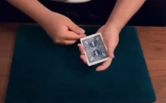 Patron of Keito K (Fourth Collection) (3 Videos)