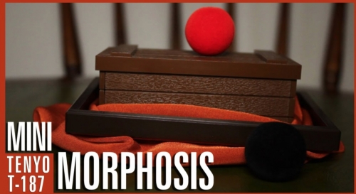 MINI MORPHOSIS ou LA MINI-MALLE DES INDES by Tenyo