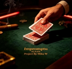 Impromptu ACAAN Project By Miku W