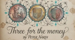 Peter Nardi - Three For The Money