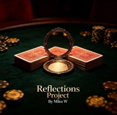 Reflections Project By Miku W