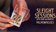 John Galsworthy - Sleight Sessions - Palms and Passes