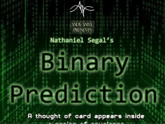Binary Prediction by Nathaniel Segal