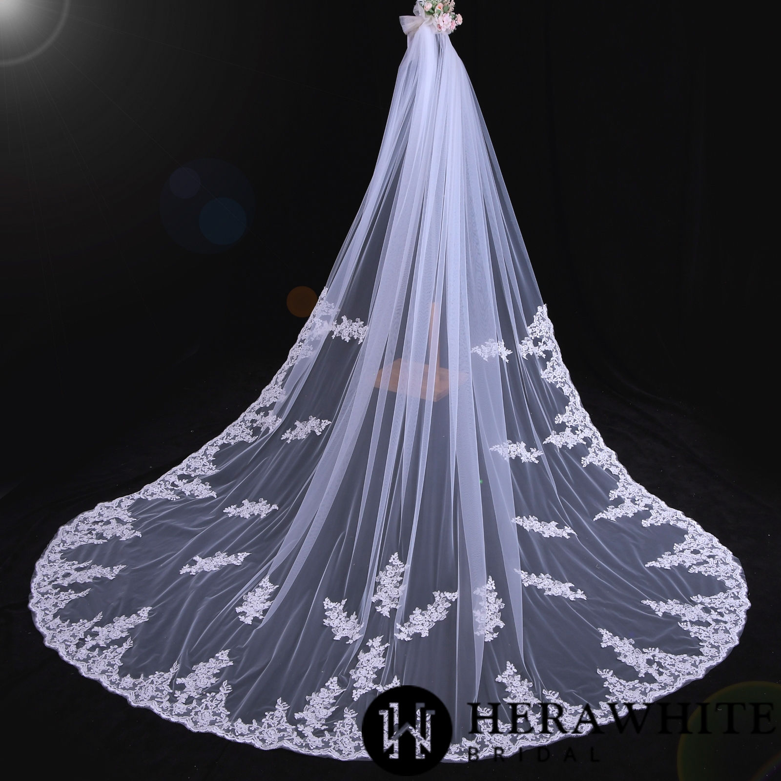 Elegant Lace Appliquéd Cathedral Length Bridal Veil