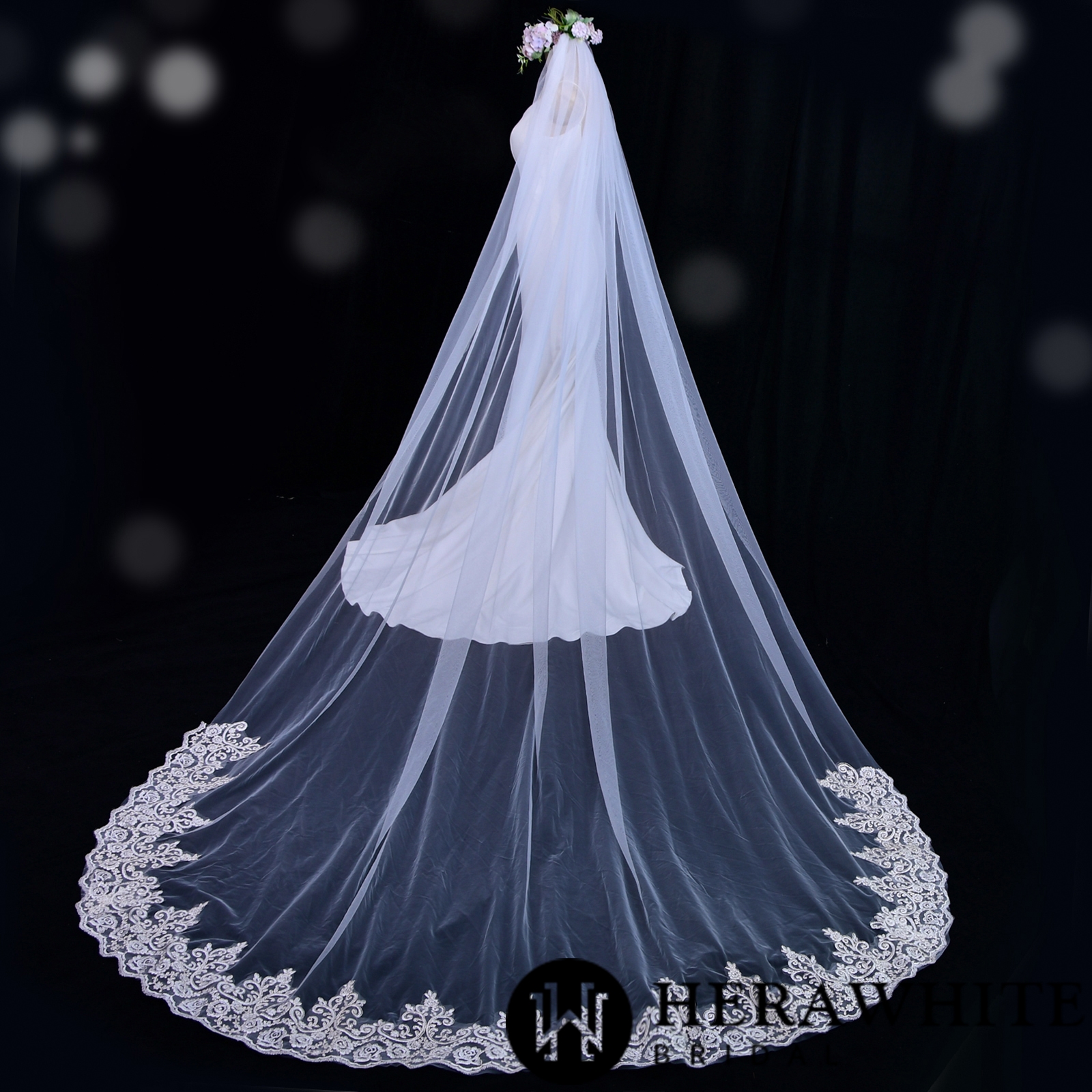 Lace Edging Tulle Cathedral LengthBridal Veil