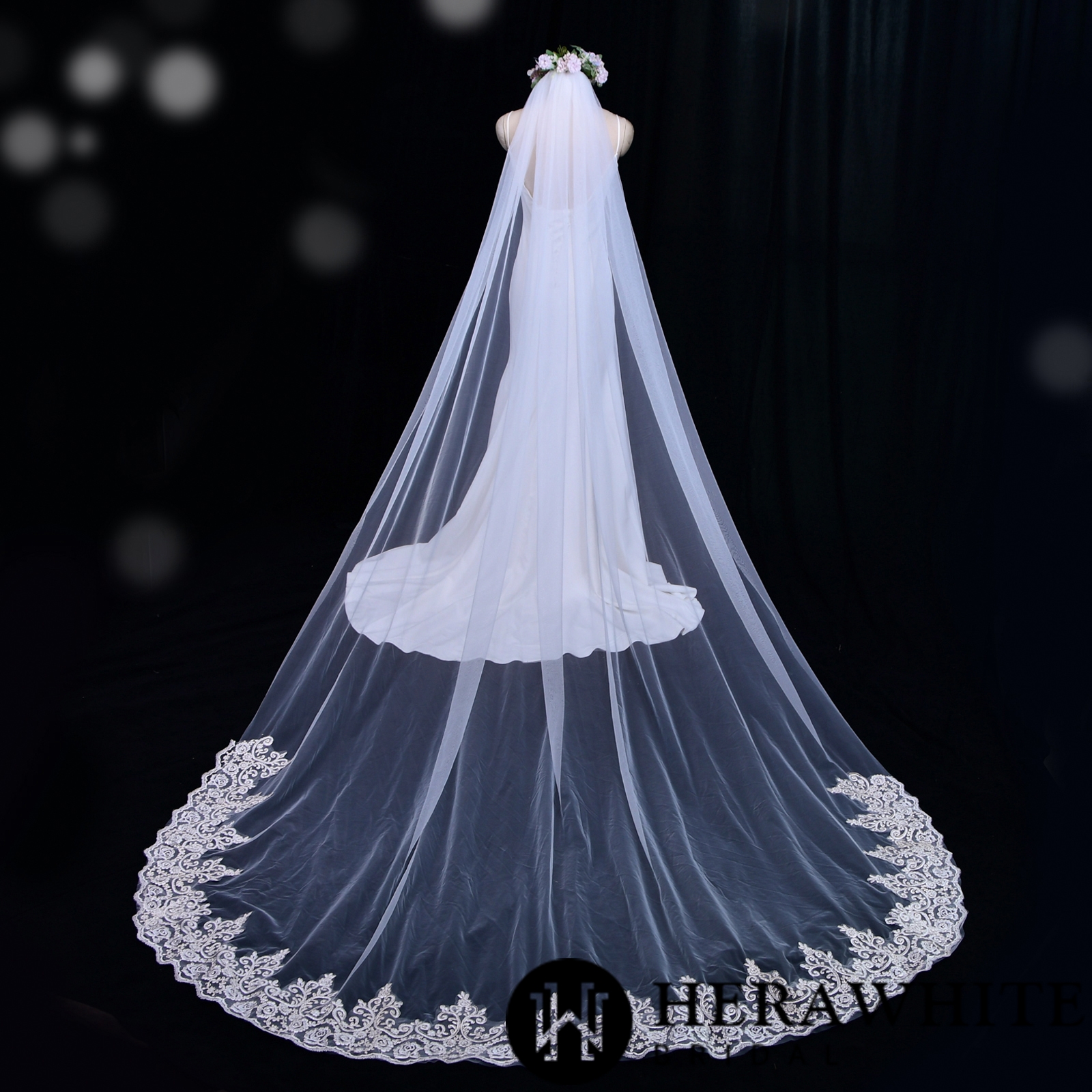 Lace Edging Tulle Cathedral LengthBridal Veil