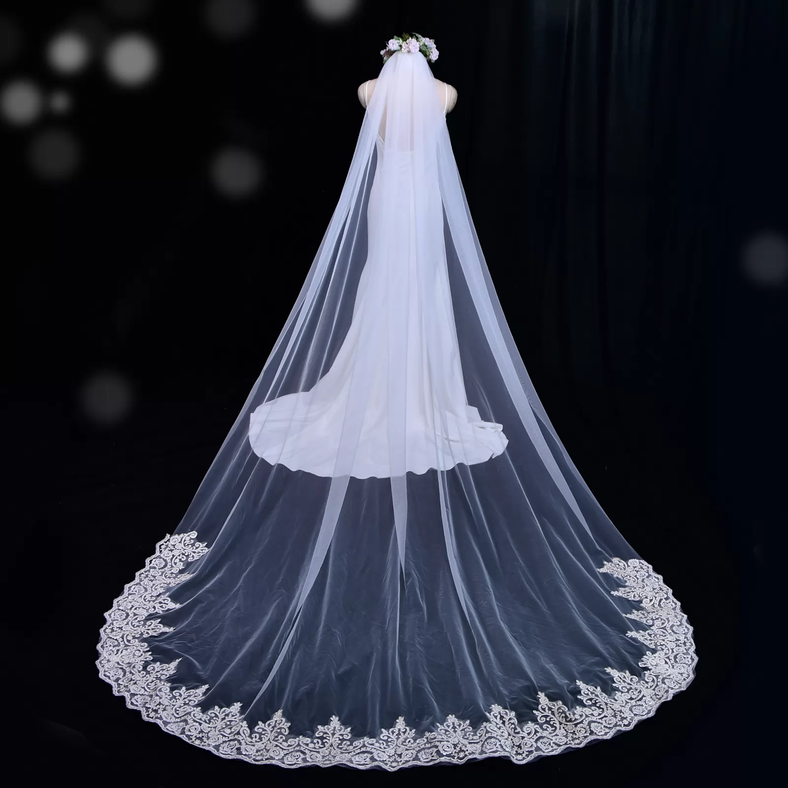 Lace Edging Tulle Cathedral LengthBridal Veil