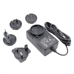 Interchangeable plug 48V 1A power supply