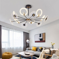 【SR8013】Post-modern living room light simple LED ceiling light