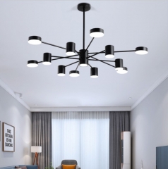 【SRQS856】Ceiling chandelier in living room