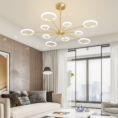 【GY0102】Modern home decor ceiling chandelier lamp