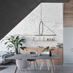 【SRCD016】Iron pendant lamp modern pendant light