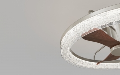 [WLDS6016-24]Modern ceiling fan light for bedroom, living room, and dining room, 24-inch high wind LED remote control ceiling light