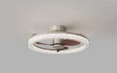 [WLDS6016-24]Modern ceiling fan light for bedroom, living room, and dining room, 24-inch high wind LED remote control ceiling light