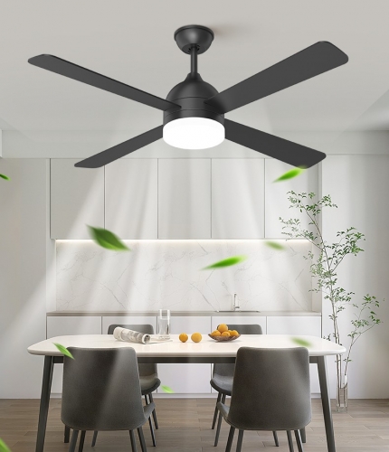 【SR25069】Smart LED ceiling fan with light strip and remote control, featuring six speed settings and a timer function