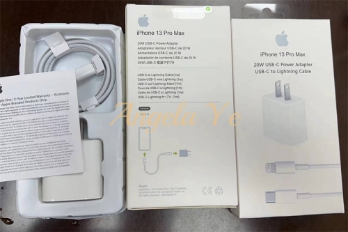 Wholesale iPhone phone charger #15508