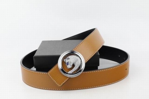 Stefango Ricici Belts AAA 038