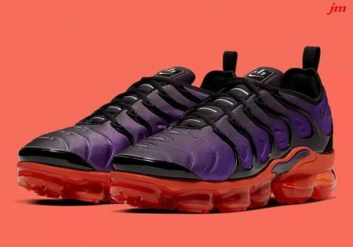 Air VaporMax TN Plus 088