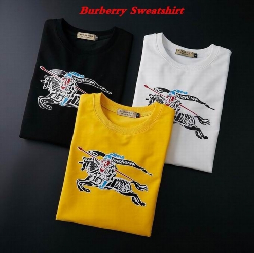 Burbery Sweatshirt 119
