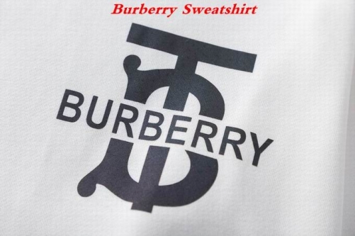 Burbery Sweatshirt 077